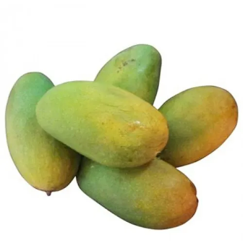 Dashari Mango - Lucknow (Dashahri Aam - Lucknow)-500 from Bhole fruits and vegetable