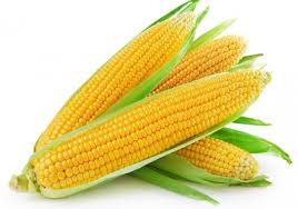 Sweet Corn (Mitha Makka)-500 from Bhole fruits and vegetable