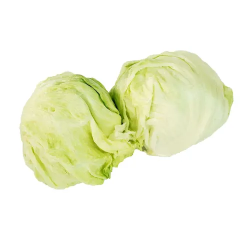 Iceberg Lettuce (Iceberg)-500 from Bhole fruits and vegetable