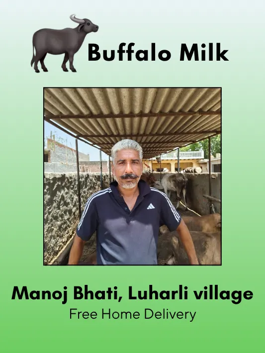 Fresh Buffalo milk- 500 ml, Manoj Bhati, Luharli village