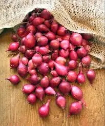 Baby Onion ( Baby pyaz) - 1 packet from FarmFresh