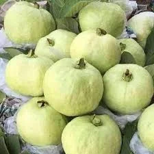 Guava Thai (Amrood) -500g from FarmFresh