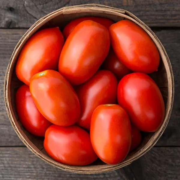 Hybrid Tomato (Sanjivani Tamatar) - 500g from Satvik Fresh