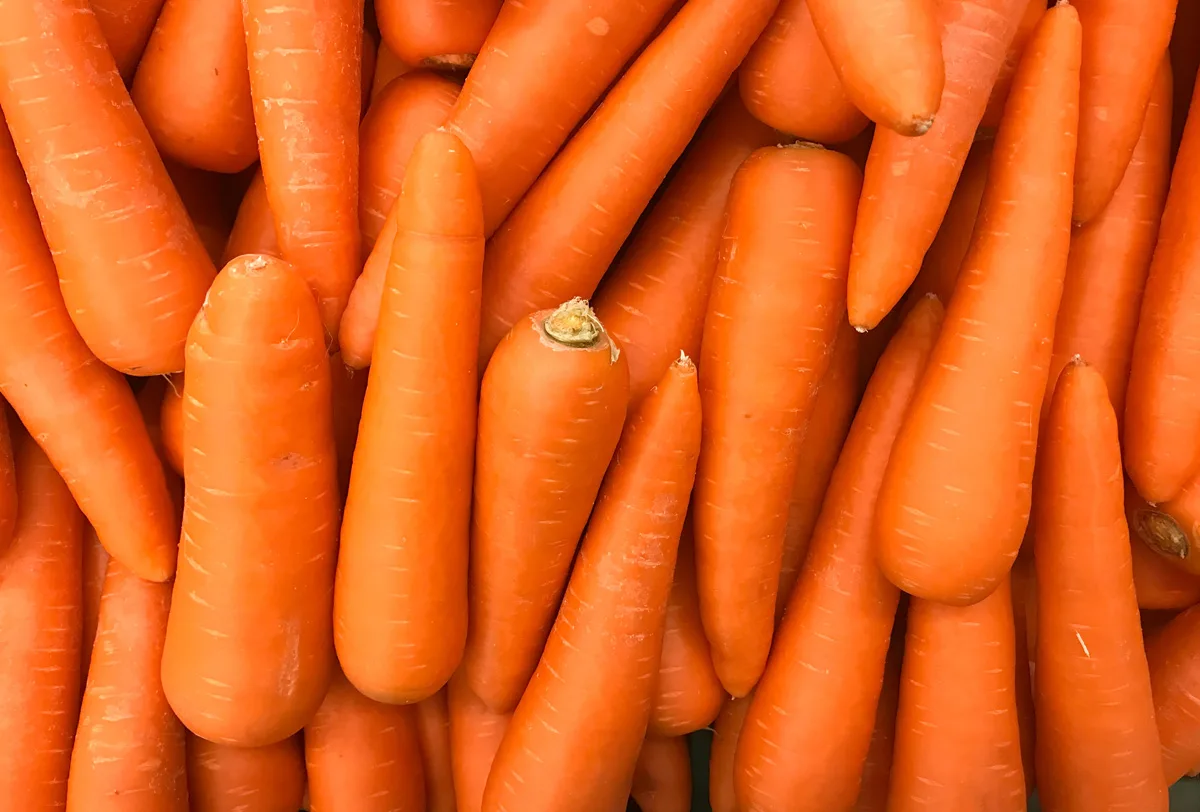 Orange Carrot (Narangi Gajar) - 500g from Satvik Fresh