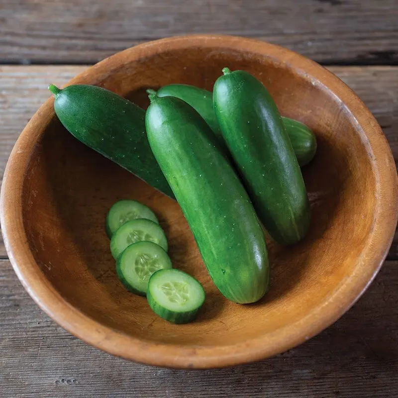 English Cucumber (Angrezi Khira) - 500g from Satvik Fresh
