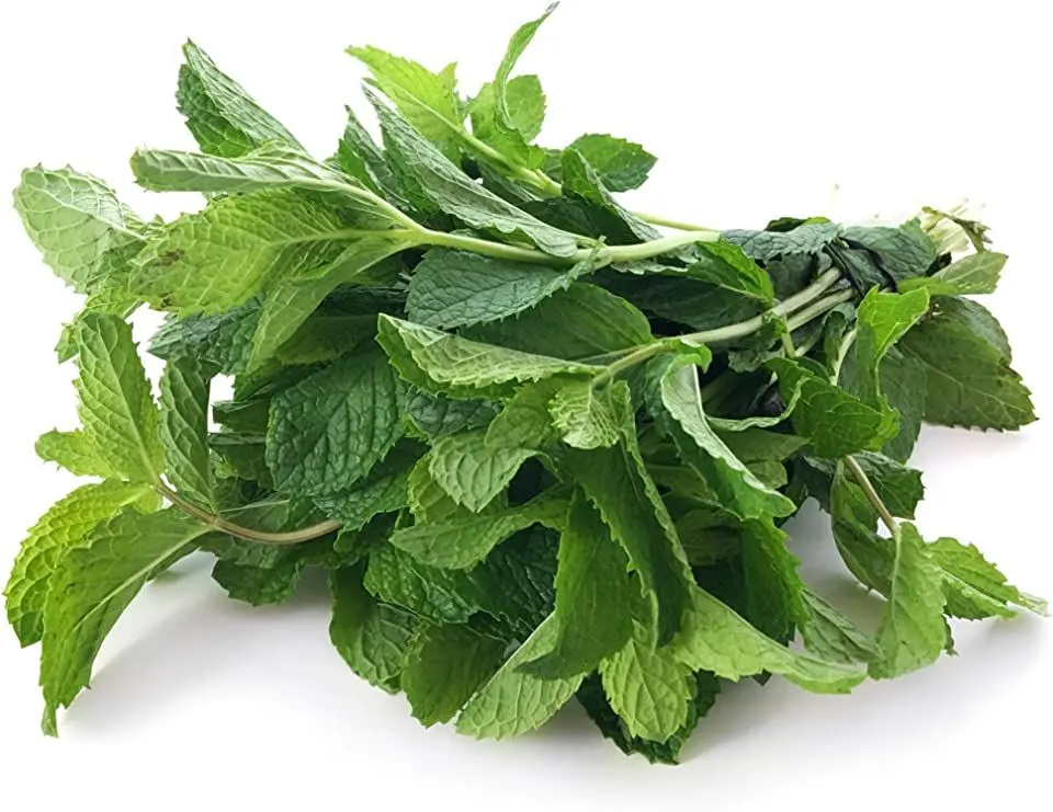 Mint (Pudina) -Per Bunch from Satvik Fresh