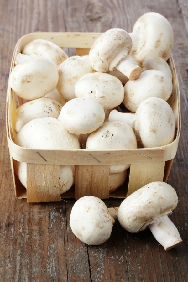 Mushroom (Mashroom) - Per Packet from Satvik Fresh