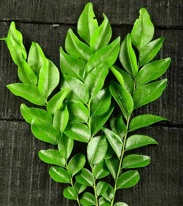 Curry leaves (curry Patta) -Per bunch from Satvik Fresh