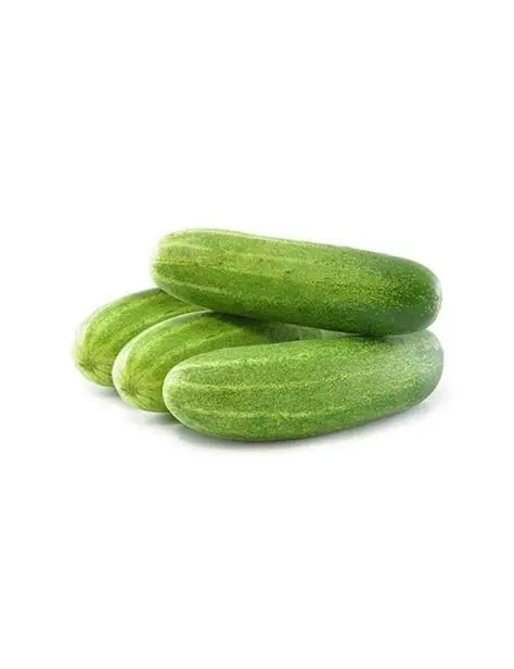 Desi Cucumber (Kheera Desi) -500g from Swapan Roy