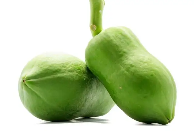 Raw Papaya (Kacha Papita) -1kg from Swapan Roy