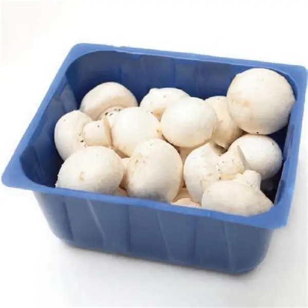 Mushroom (Mashroom) -1box from Swapan Roy