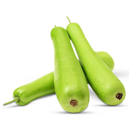 Bottle Gourd (Loki)  (500gm) - From Shivani fruits and Vegetables