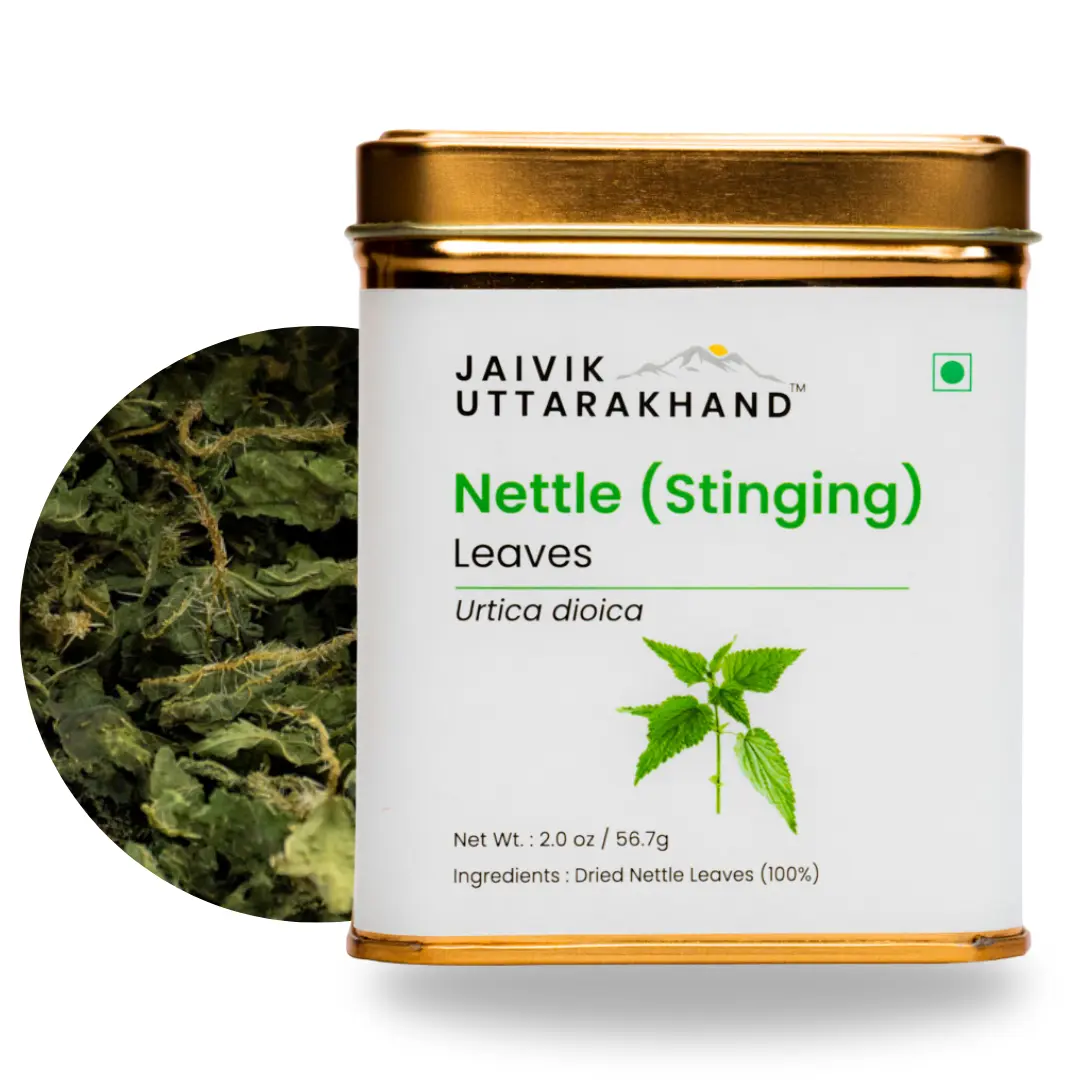 Jaivik Uttarakhand Nettle Tea Pack of 2