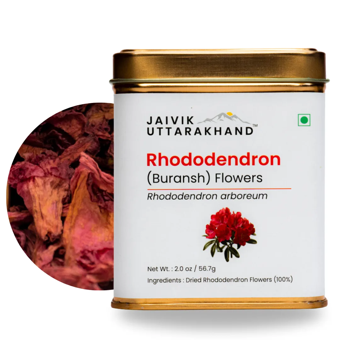 Jaivik Uttarakhand Rhododendron (Buransh) Tea Pack of 2