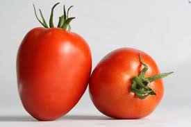 Hybrid Tomato (Sanjivani Tamatar) -(500gm) From Fresh Farm