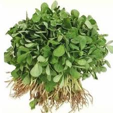 Fenugreek Leaves (Hari Methi) - (500gm) From Fresh Farm