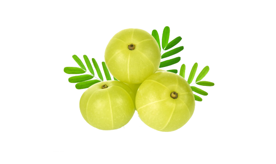 Kanhaiya Fresh Vegetables 1