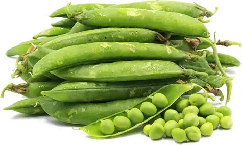 Green Peas ( Hari Matar) (500gm) From Ilyaas Fruit Shop