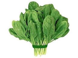 Spinach (Palak) (500gm) From Ilyaas Vegetable Shop