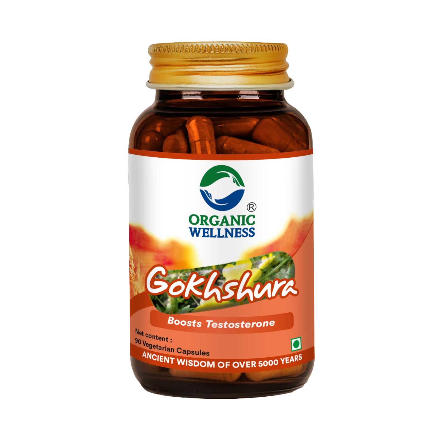 Gokhshura 90 Vegetarian Capsules