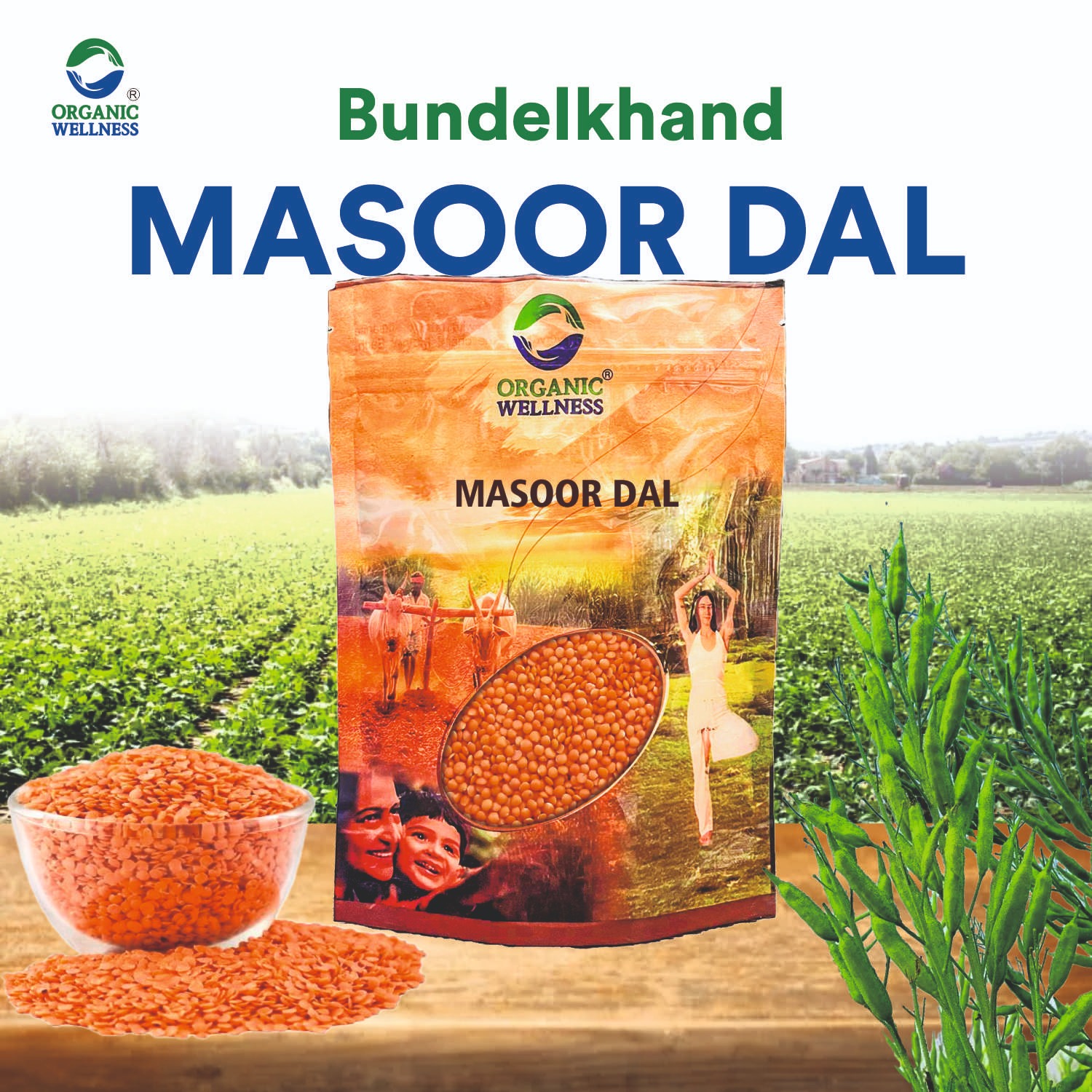 Organic Wellness Masoor Dal Split - 450 grams