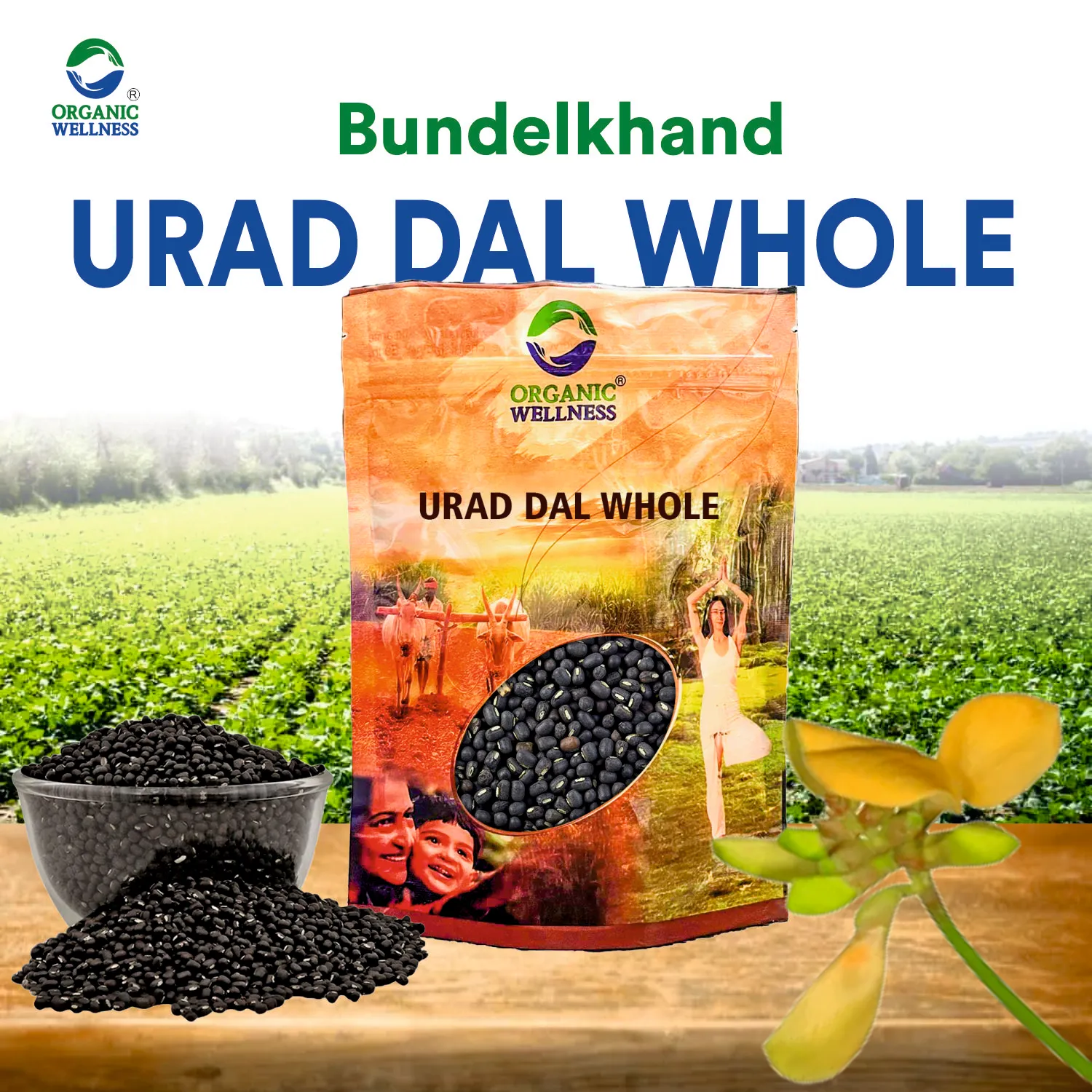 Organic Wellness Urad Dal Whole - 450 grams