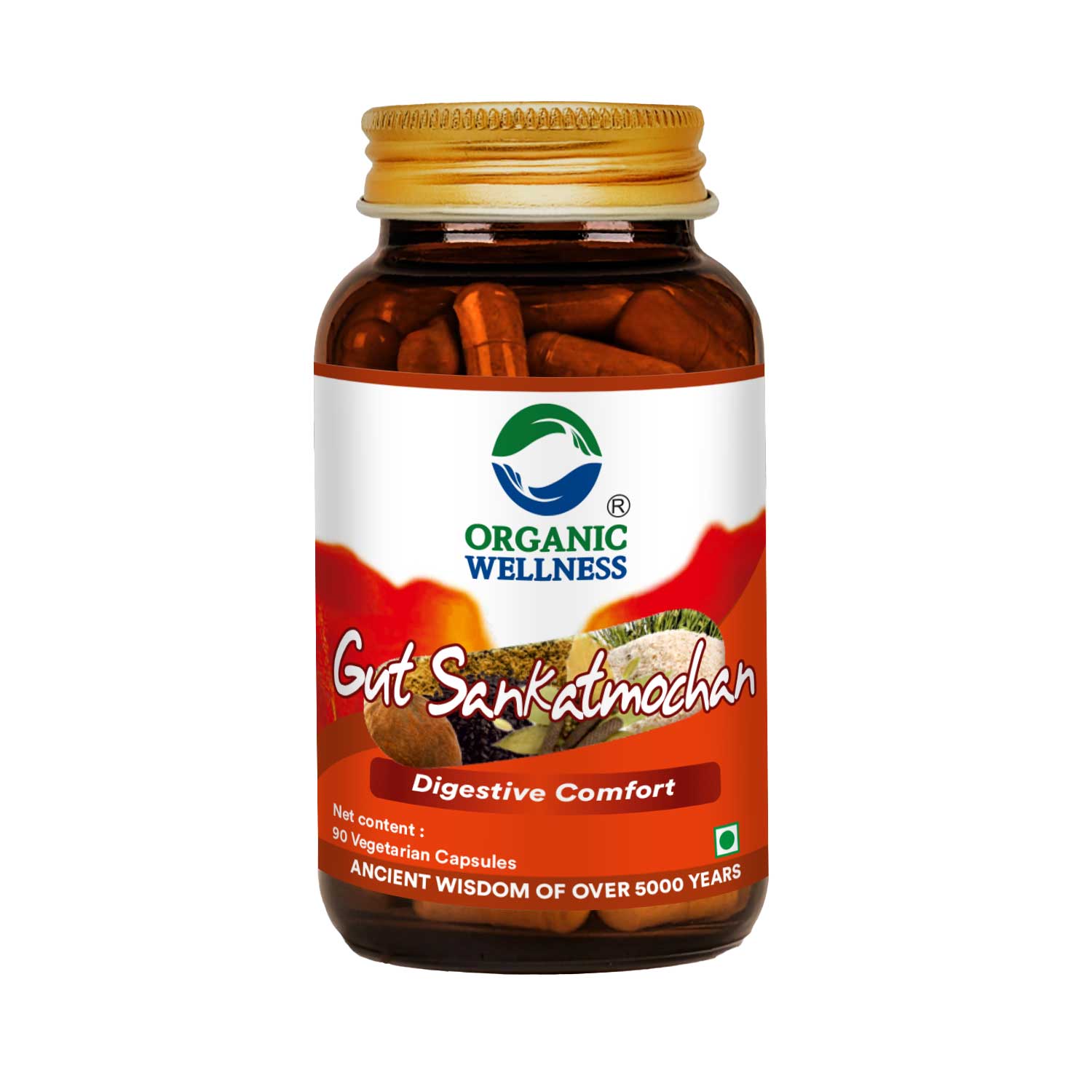 Organic Wellness Gut Sankatmochan 90 Capsules