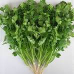 Green Coriander (Dhaniya) (100gm) From Dalveer Vegetables Shop