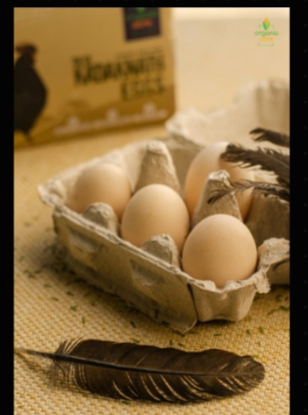 Kadaknath Eggs from Only Hydroponics