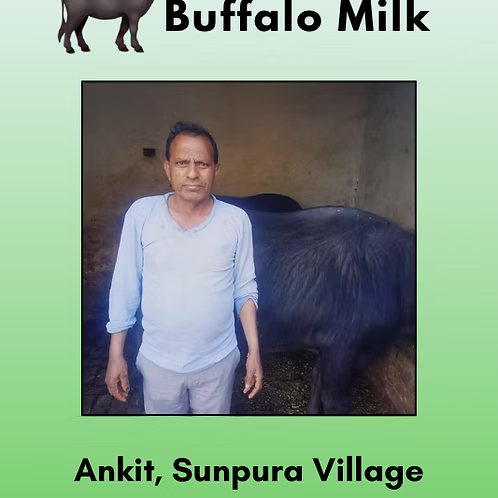 Farm fresh buffalo milk 500 ml from Ankit, Sunpura Village , Greater Noida