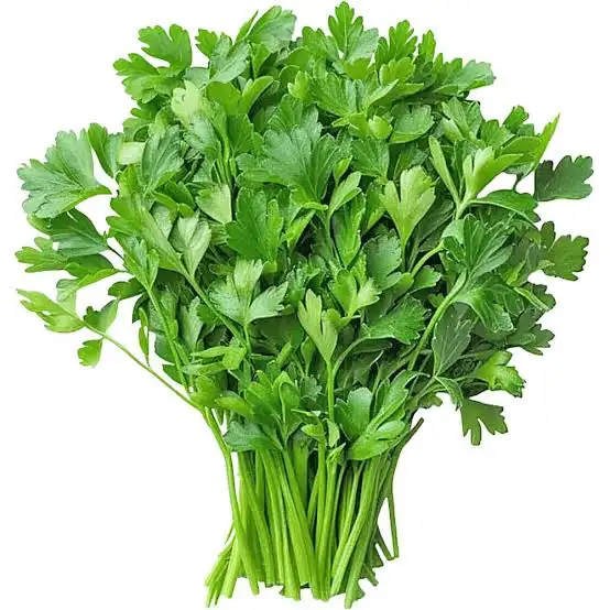 Adya Organics Fresh Coriander (Cilantro) - 250gms