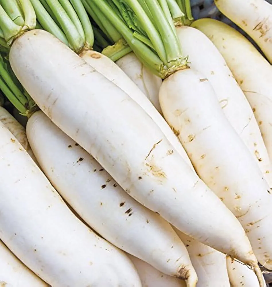 Adya Organics White Radish (Daikon) - 250gms