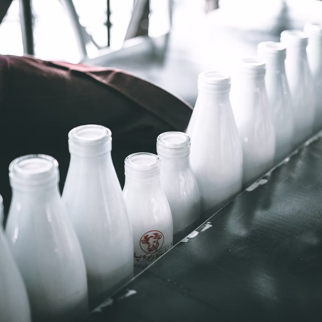 Pasteurization of milk - How good is it for your health?