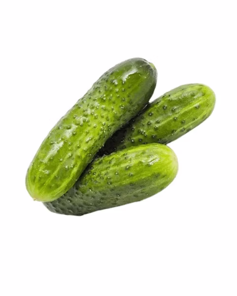 Cucumber (Khira) -(500gm) From Fresh Farm