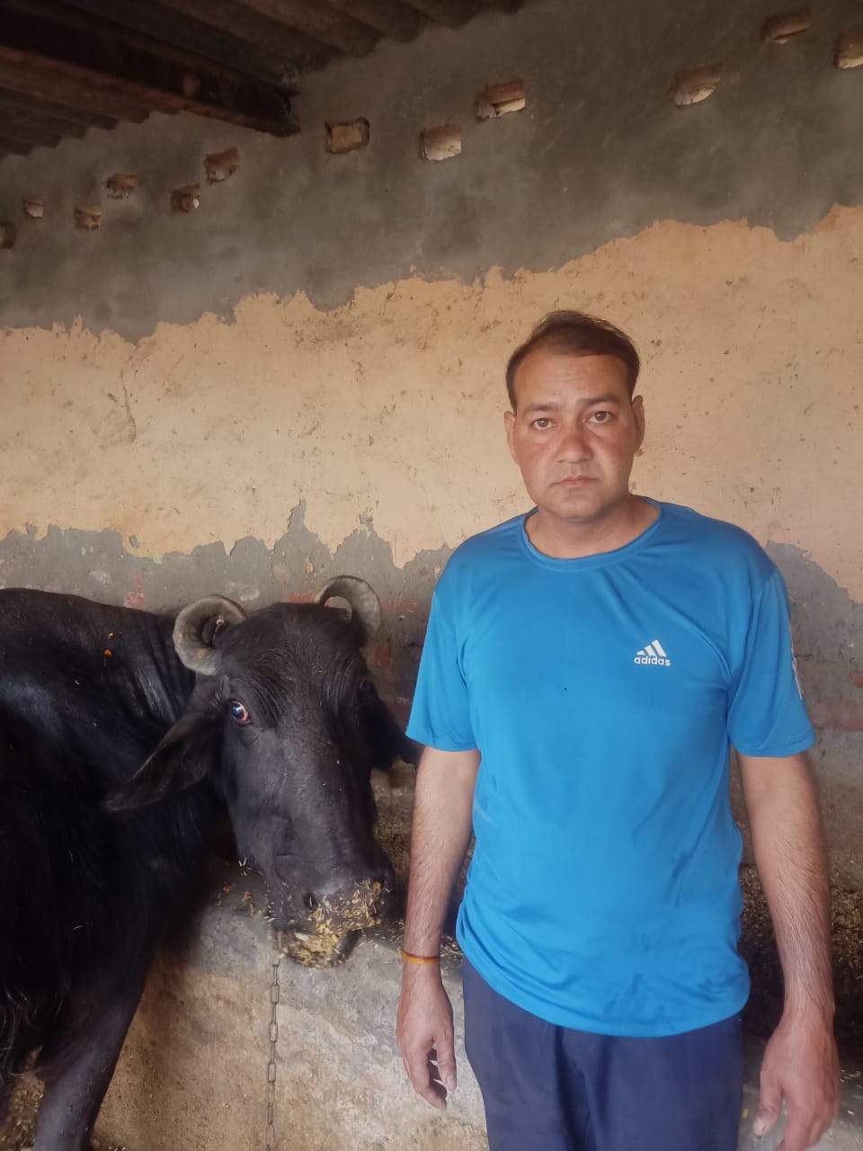 Fresh Cow Milk 500 ML from Sumit Nagar, Nawada Village