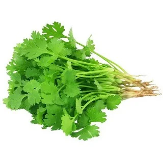 Coriandar-dhaniya (organically-grown)1bunch- 250gm