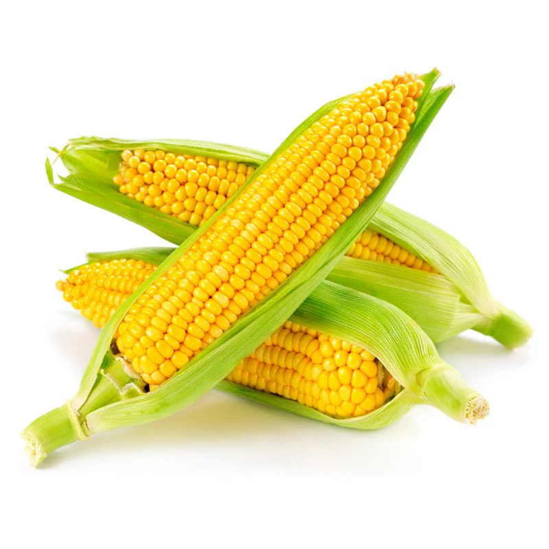 Sweet-corn (Organically-grown) - 500gm