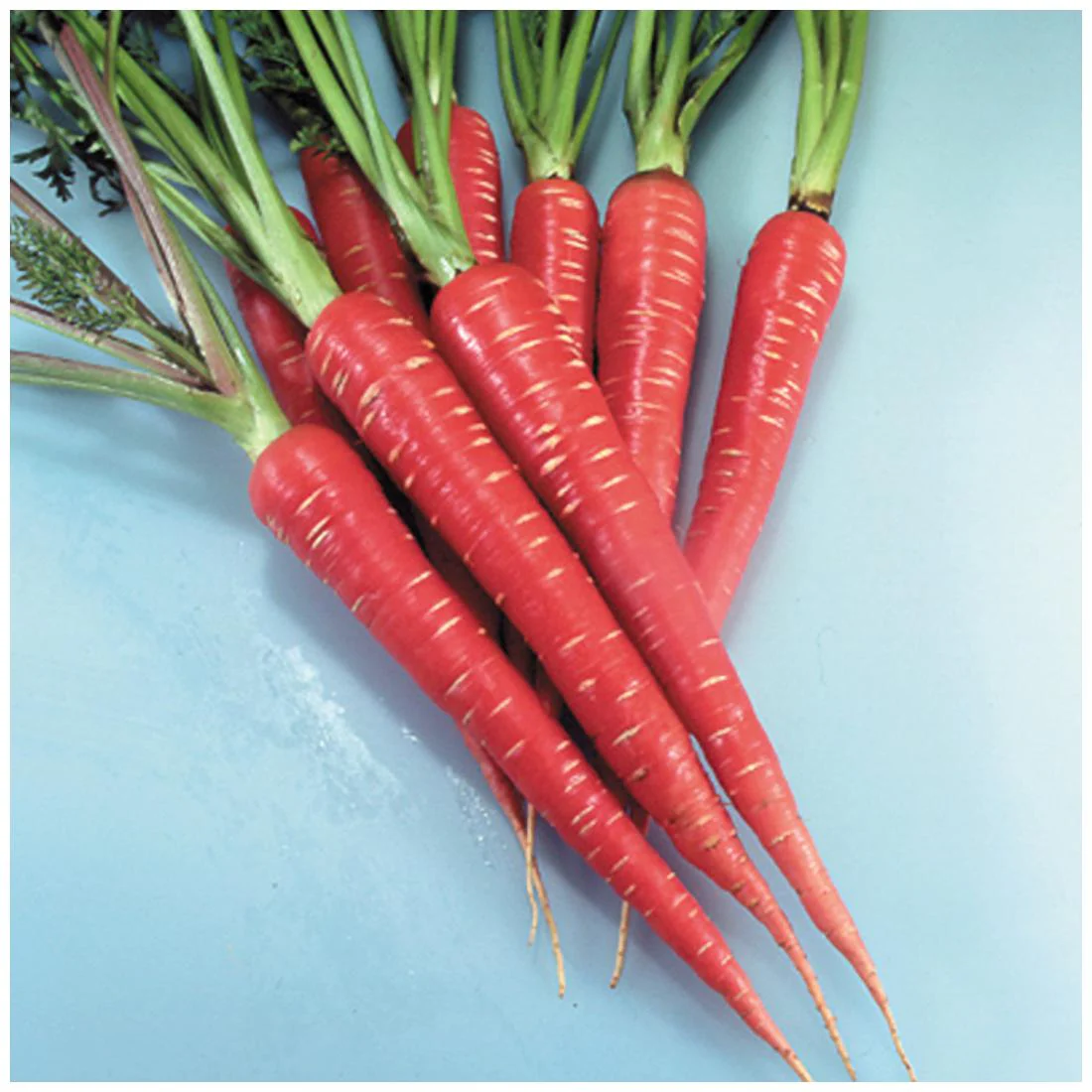 Carrot (Gajar) - 500gm