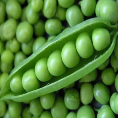 Pea (Matar) -500gm