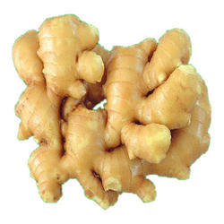 Ginger (Adrak) - 250 gm