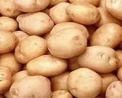 Pahari Potato( Pahari aloo) -500g from FarmFresh