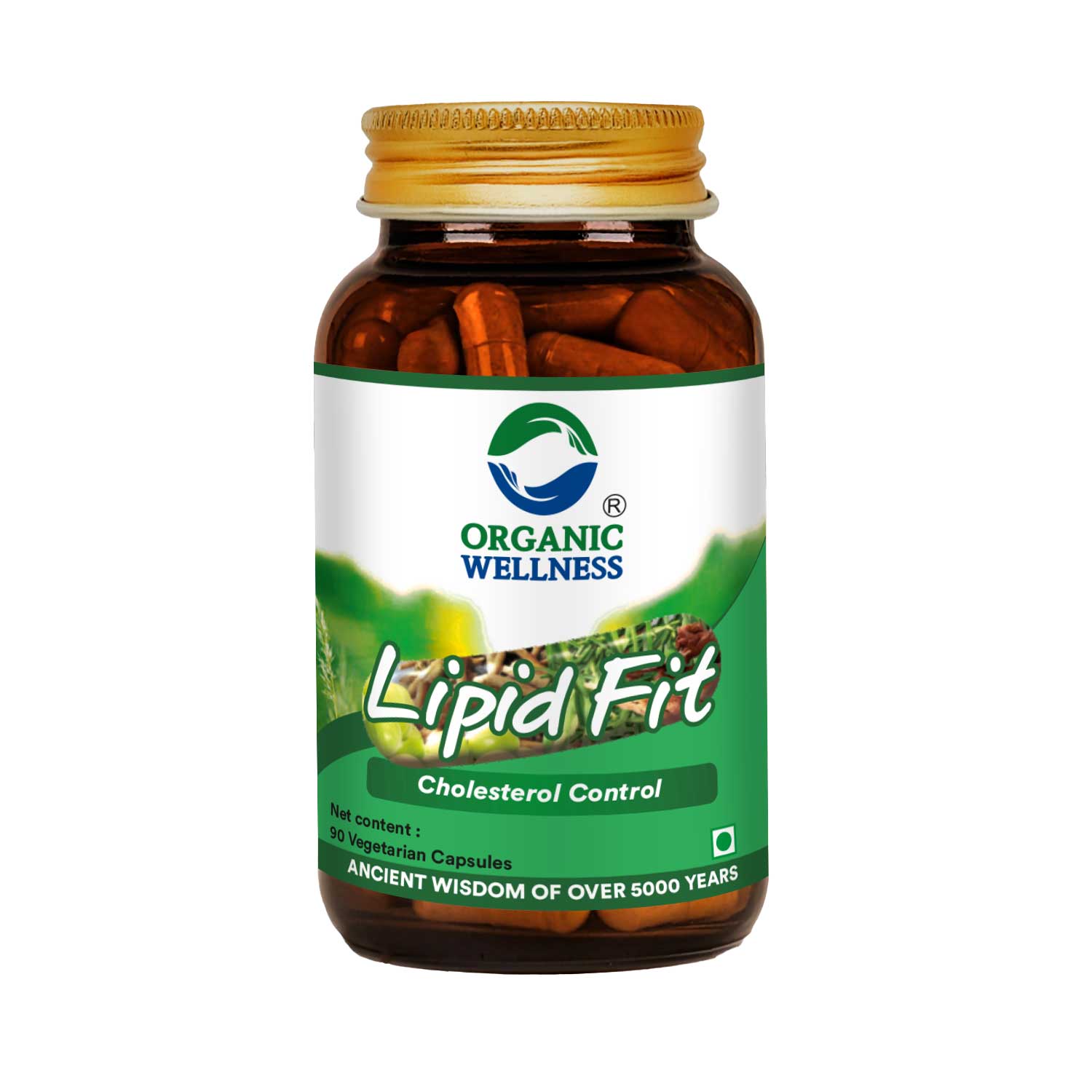 Lipid-Fit 90 Capsules