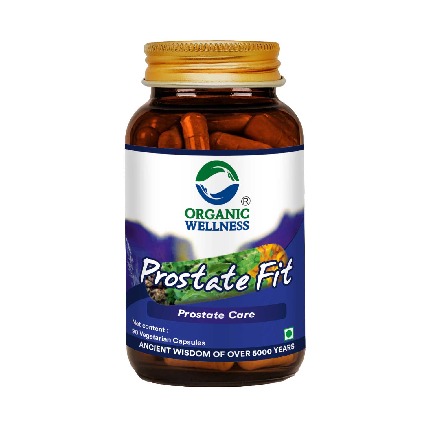 Organic Wellness Prostate-Fit 90 Capsules