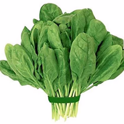 Spinach (Palak) (500gm) From Shivani fruits and Vegetables