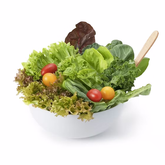 Only Hydroponic (salad-mix)