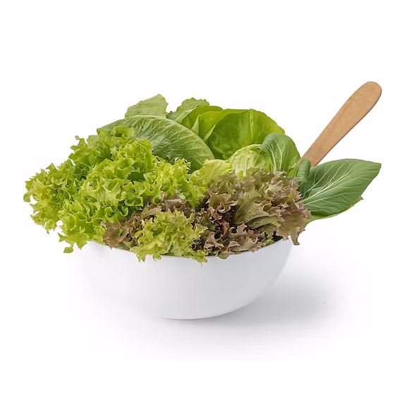Only Hydroponic (lettuce-mix) - 150gm