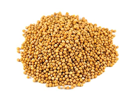 Classic Harvest Yellow Mustard Seeds/Peeli Sarso/Whole Mustard Yellow ( , Each)